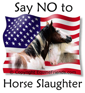 Stop the Slaughter Click Link to Sign Bill HR 503 